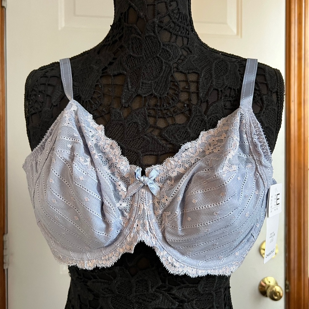 Chantelle Rive Gauche Lace Underwire Bra 36E/36DD in Chambray NWTs